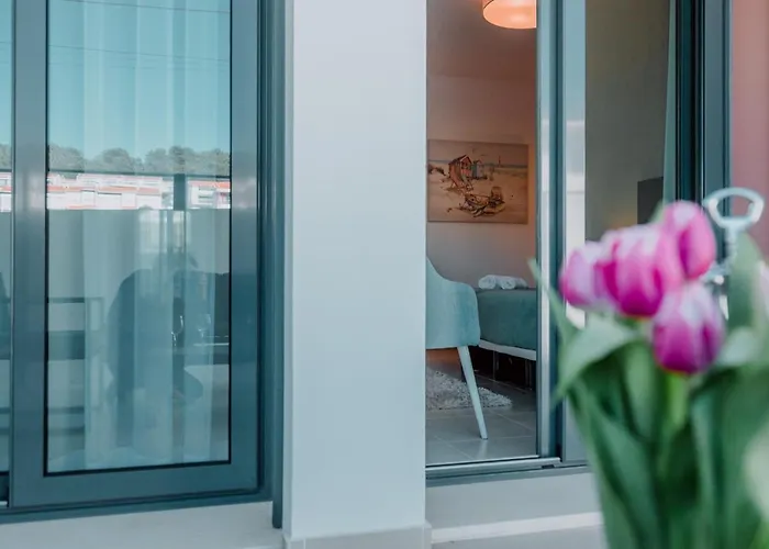 Casa Edie * Salir de Porto